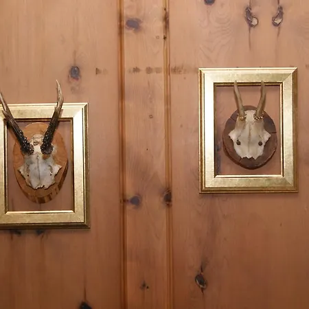 Arturo Celerina/Schlarigna