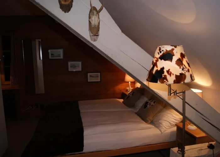 Hotel Arturo Celerina/Schlarigna