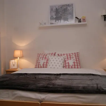 Mini-hôtel Arturo Celerina/Schlarigna